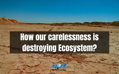 how our carelessness is destroying ecosystem