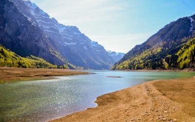 how our carelessness is destroying ecosystem