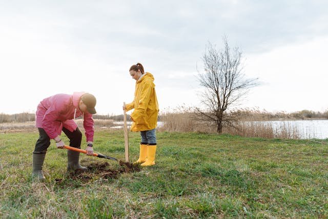 how planting trees can help combat global warming